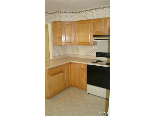 943 Spring Ave, Saint Charles, MO 63301 photo 5