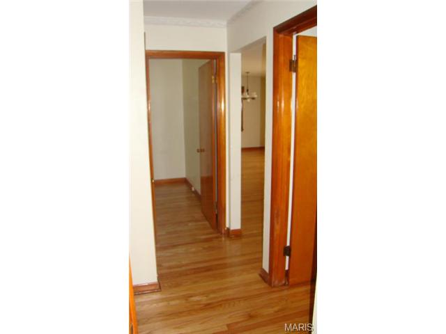 943 Spring Ave, Saint Charles, MO 63301 photo 12
