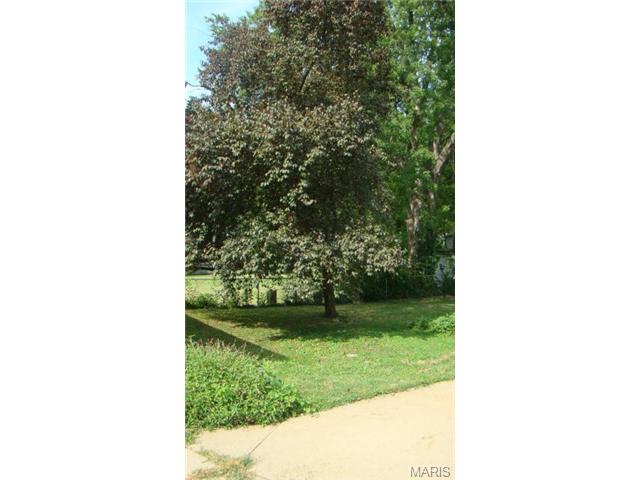943 Spring Ave, Saint Charles, MO 63301 photo 25