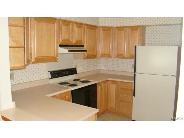 943 Spring Ave, Saint Charles, MO 63301 photo 6