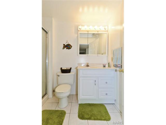 1413 Apple Valley Dr, O'fallon, MO 63366 photo 24