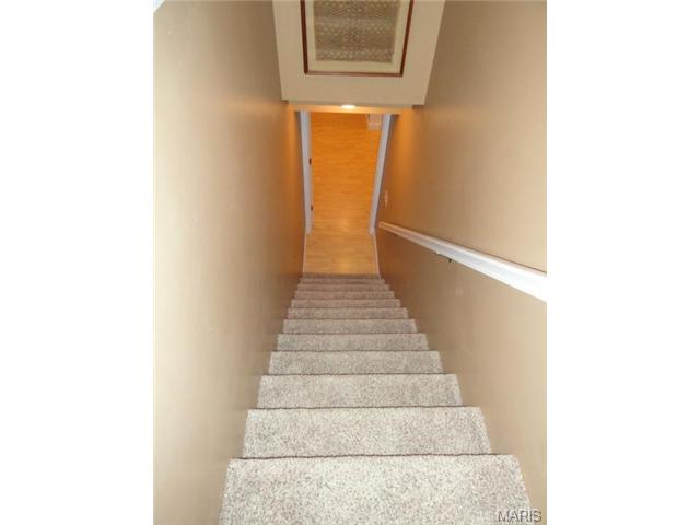 2 Marino Ct, O'fallon, MO 63368 photo 19