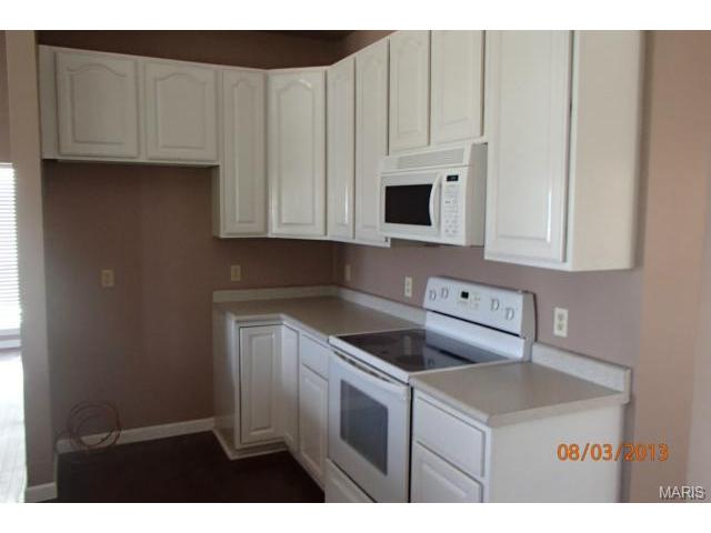 3 Betsys Flag Ct, O'fallon, MO 63366 photo 6