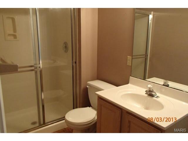 3 Betsys Flag Ct, O'fallon, MO 63366 photo 10