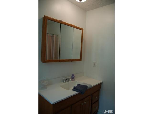 3 Forest Ln, O'fallon, MO 63366 photo 19