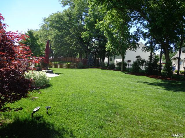 107 Preston Cir, O'fallon, MO 63368 photo 23