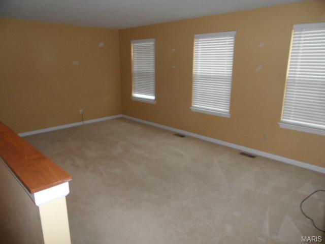 107 Preston Cir, O'fallon, MO 63368 photo 16