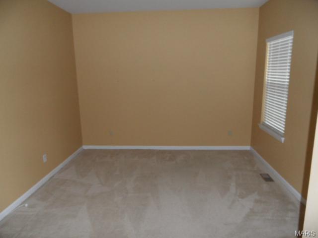 107 Preston Cir, O'fallon, MO 63368 photo 15