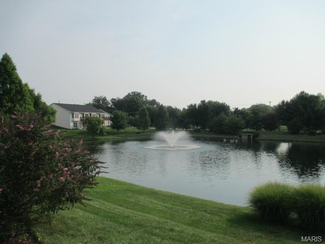 1656 Thurston Ct, O'fallon, MO 63366 photo 13
