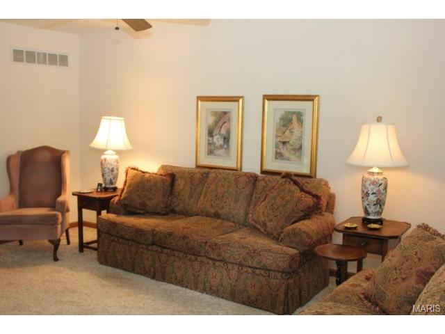  16520 Carriage View Ct, Grover, MO 63040 photo 3