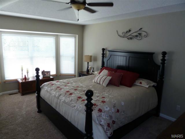 725 Diamond Pointe, O'fallon, MO 63366 photo 10