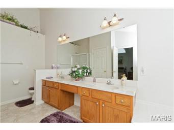 1269 Cypress Pt, O'fallon, MO 63366 photo 20
