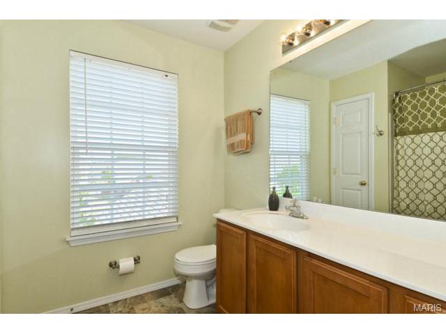 1969 Briarfield Dr, O'fallon, MO 63367 photo 15