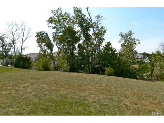 1969 Briarfield Dr, O'fallon, MO 63367 photo 29