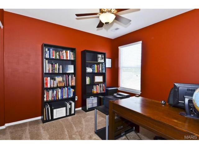 1969 Briarfield Dr, O'fallon, MO 63367 photo 18