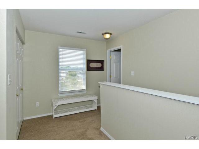 1969 Briarfield Dr, O'fallon, MO 63367 photo 11