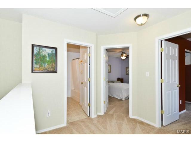 1969 Briarfield Dr, O'fallon, MO 63367 photo 12