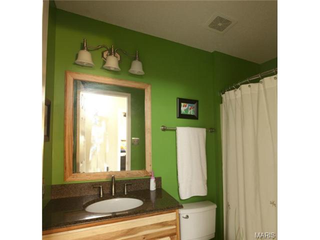 1828 Sapling Dr, O'fallon, MO 63366 photo 13