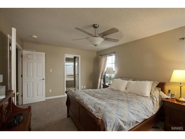 1828 Sapling Dr, O'fallon, MO 63366 photo 5