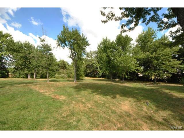 1668 Duvall Ct, O'fallon, MO 63368 photo 61