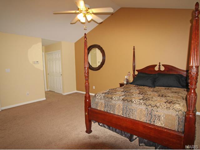 5 Hughes Pass, O'fallon, MO 63366 photo 27