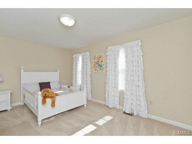 948 Molloy Dr, O'fallon, MO 63366 photo 22