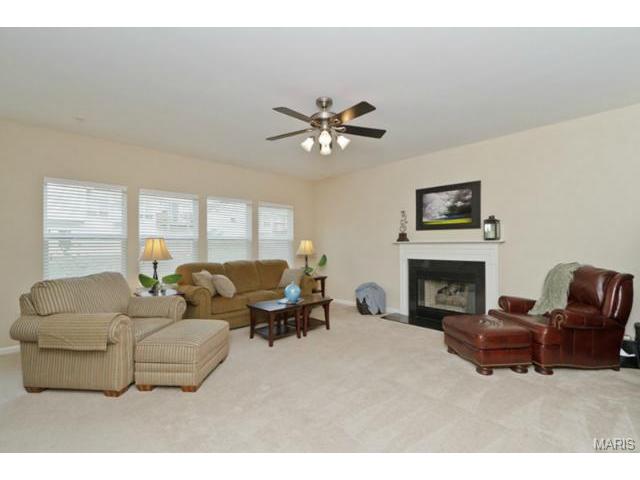 948 Molloy Dr, O'fallon, MO 63366 photo 5