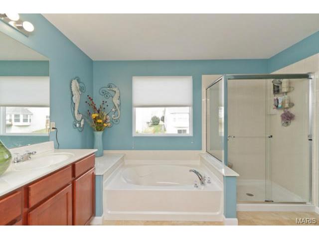 948 Molloy Dr, O'fallon, MO 63366 photo 15