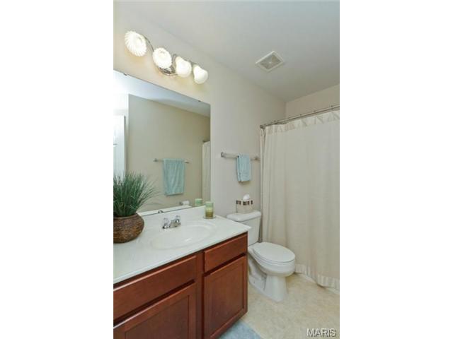 948 Molloy Dr, O'fallon, MO 63366 photo 20