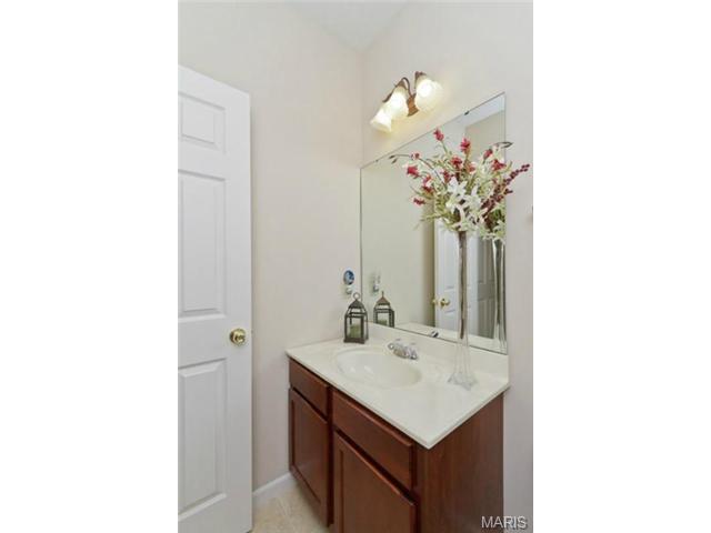 948 Molloy Dr, O'fallon, MO 63366 photo 11