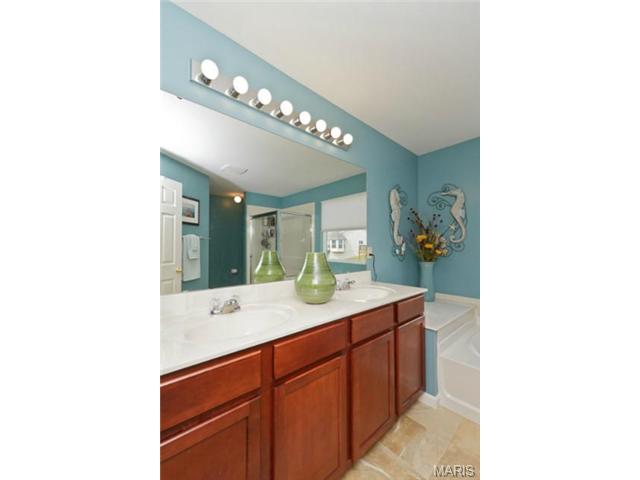 948 Molloy Dr, O'fallon, MO 63366 photo 16