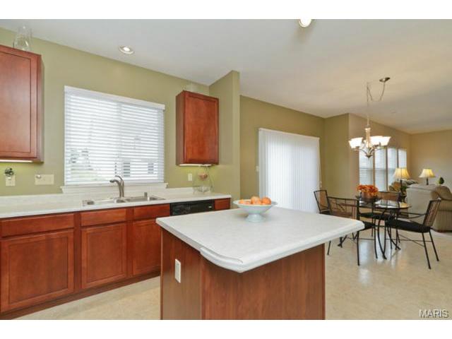 948 Molloy Dr, O'fallon, MO 63366 photo 10