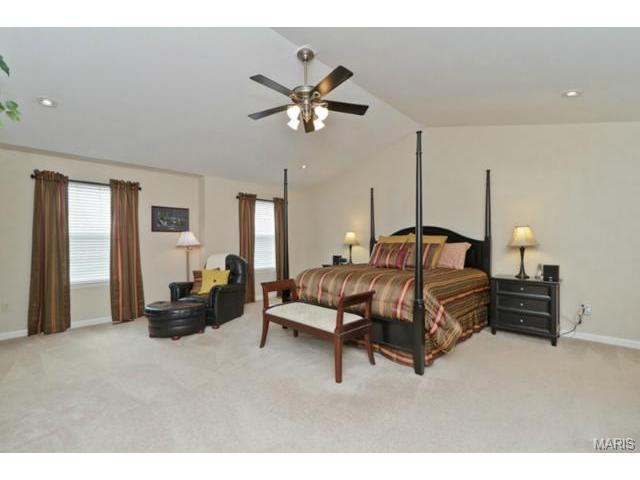 948 Molloy Dr, O'fallon, MO 63366 photo 13