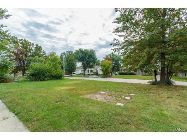 206 Cordes St, O'fallon, MO 63366 photo 24