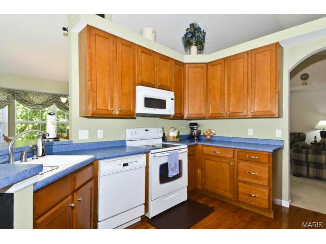 7 Eliot Ct, O'fallon, MO 63366 photo 21