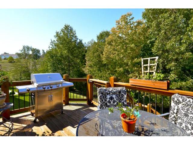 7 Eliot Ct, O'fallon, MO 63366 photo 23