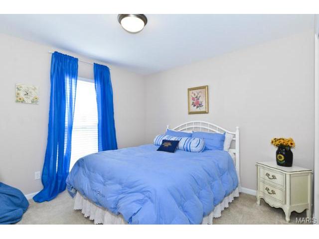 7 Eliot Ct, O'fallon, MO 63366 photo 18