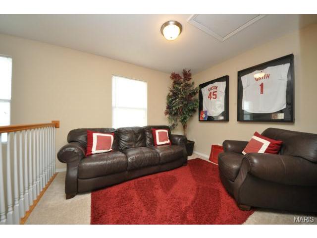 315 Tyndale Dr, O'fallon, MO 63366 photo 10