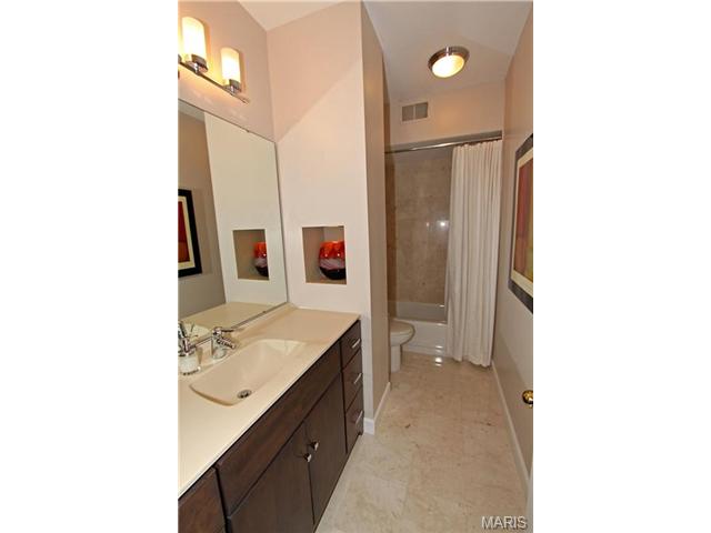 901 S Skinker #1S, Saint Louis, MO 63105 photo 22