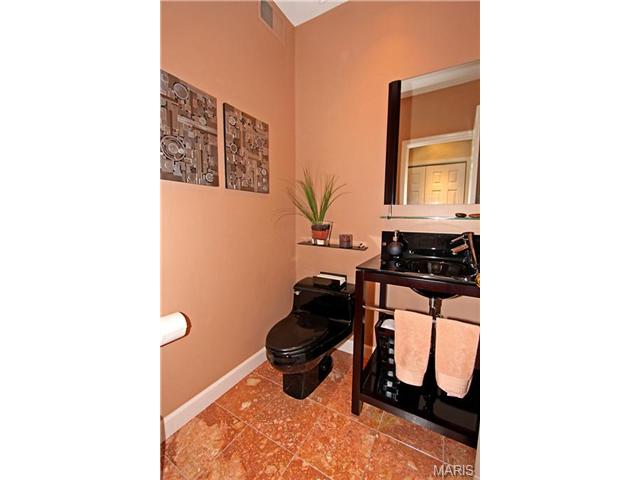 901 S Skinker #1S, Saint Louis, MO 63105 photo 16