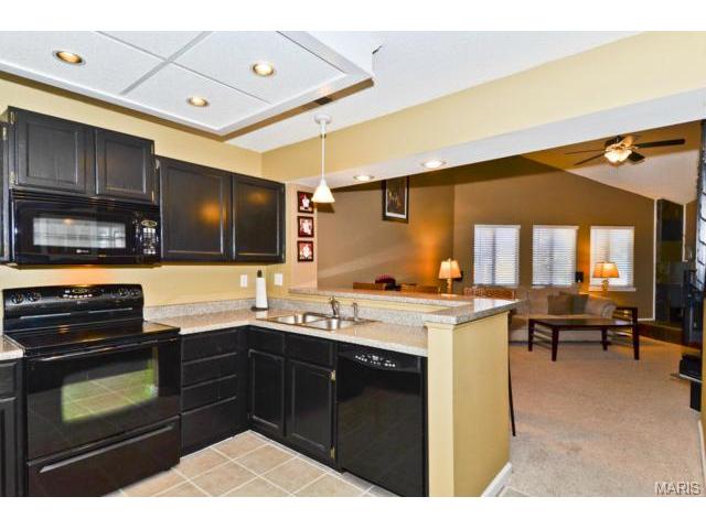 308 Hemingway Ln, Weldon Spring, MO 63304 photo 11