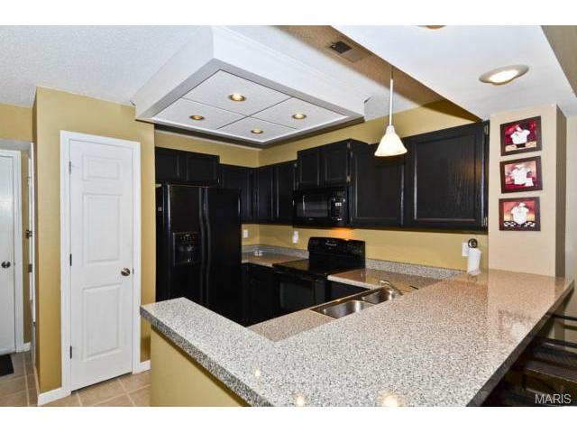 308 Hemingway Ln, Weldon Spring, MO 63304 photo 10