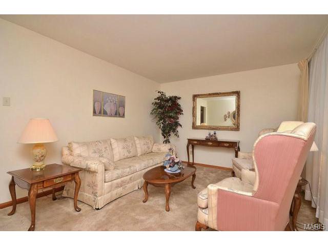 419 Sunset Ln, O'fallon, MO 63366 photo 7