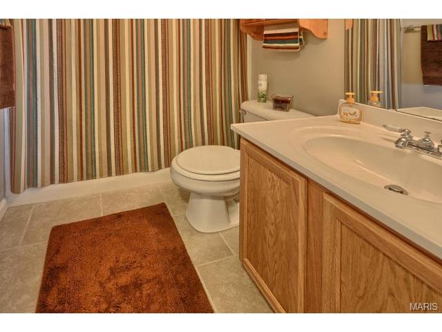 2 Orangewood Ct, O'fallon, MO 63368 photo 19
