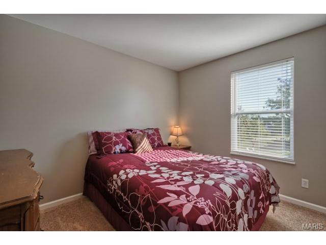 2 Orangewood Ct, O'fallon, MO 63368 photo 17
