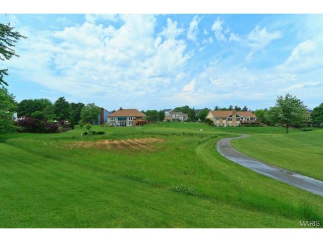 207 Abbey Glen Ln, Weldon Spring, MO 63304 photo 47