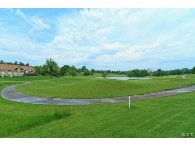 207 Abbey Glen Ln, Weldon Spring, MO 63304 photo 13