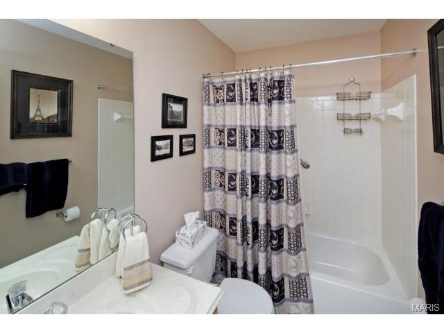 3 Feise Forest Ct, O'fallon, MO 63368 photo 10