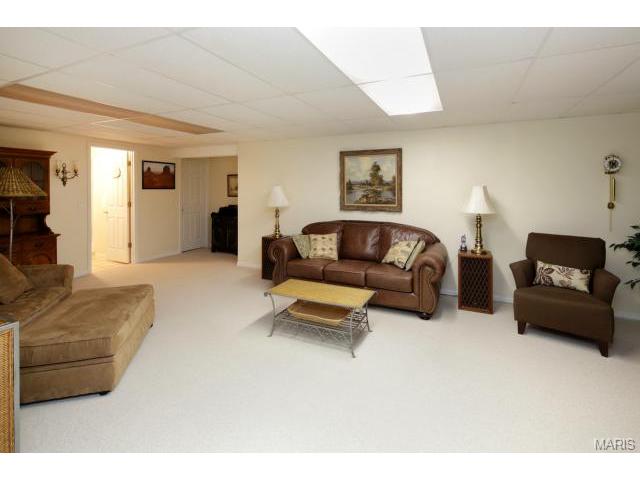 3 Feise Forest Ct, O'fallon, MO 63368 photo 14