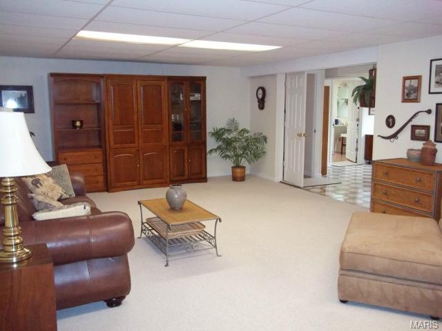 3 Feise Forest Ct, O'fallon, MO 63368 photo 13